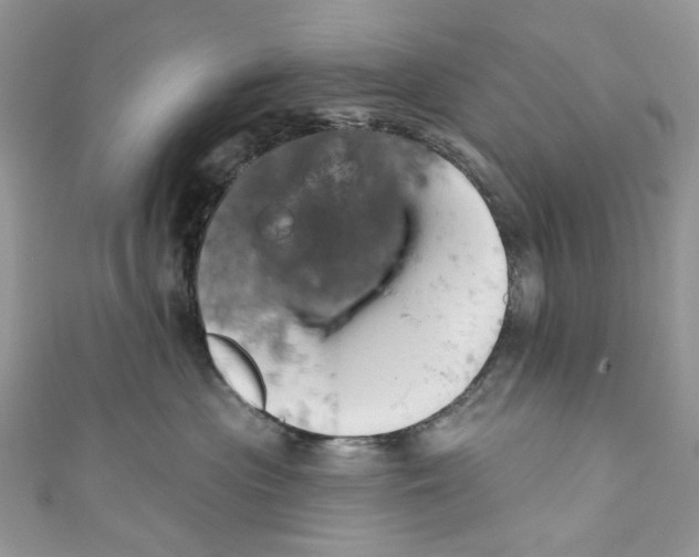 X0000110680477200907241047