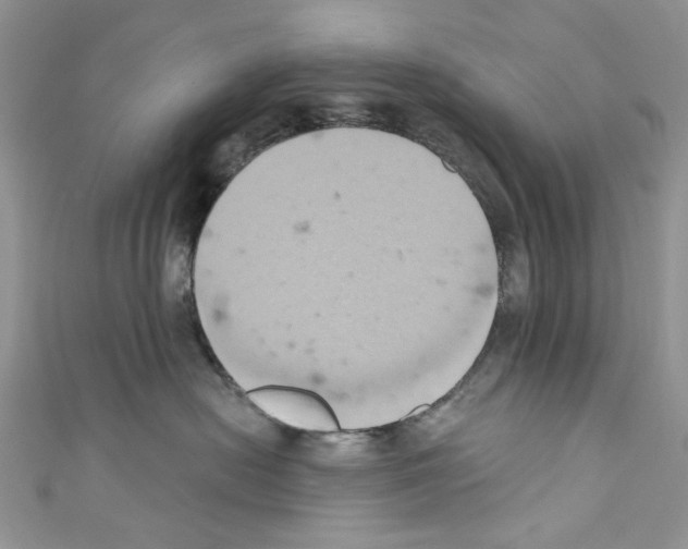 X0000110680478200907241047