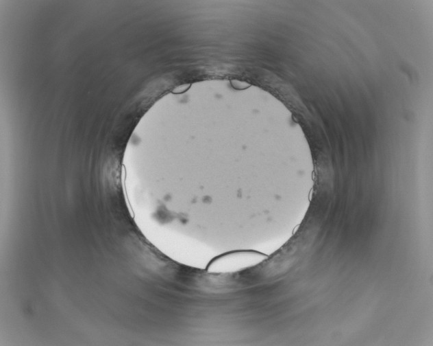 X0000110680479200907241047