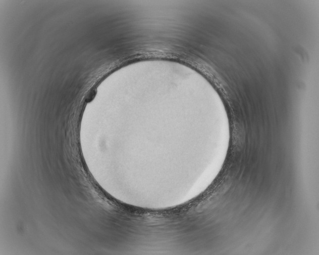X0000110680481200907241046