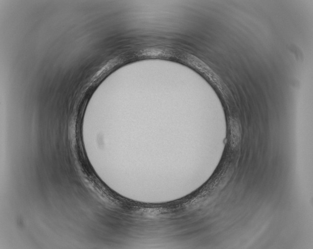 X0000110680482200907241046