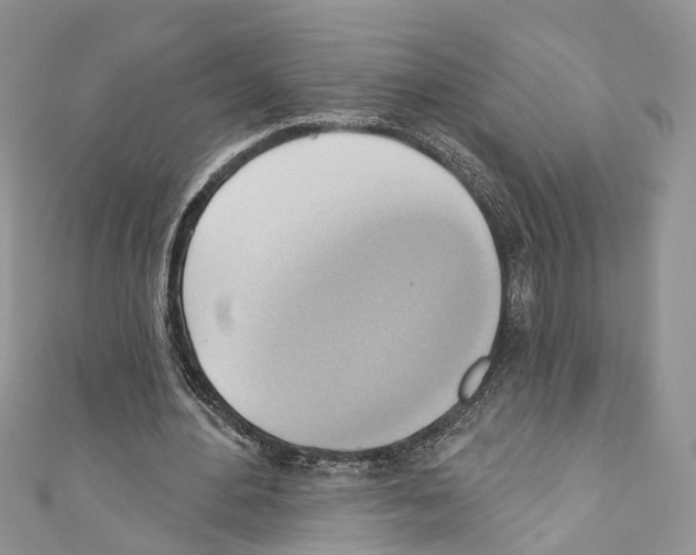 X0000110680484200907241046