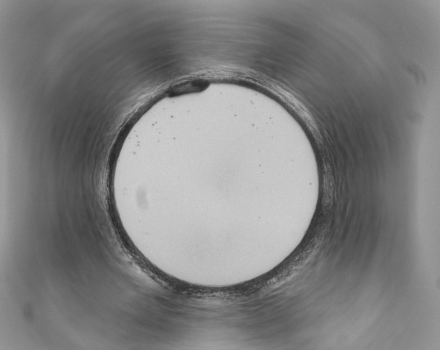 X0000110680485200907241046