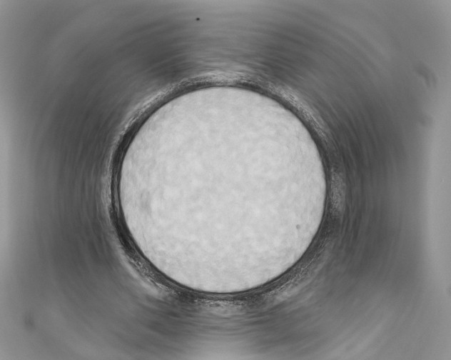X0000110680486200907241046