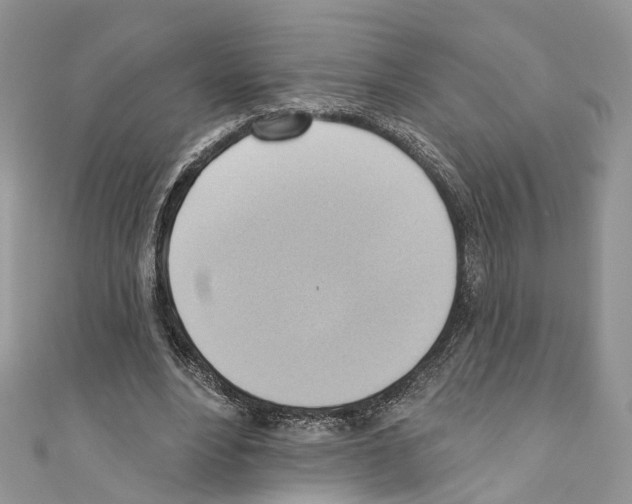X0000110680488200907241046