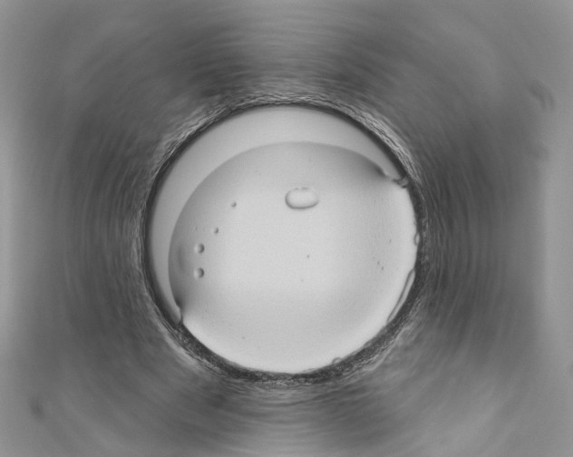 X0000110680489200907241046