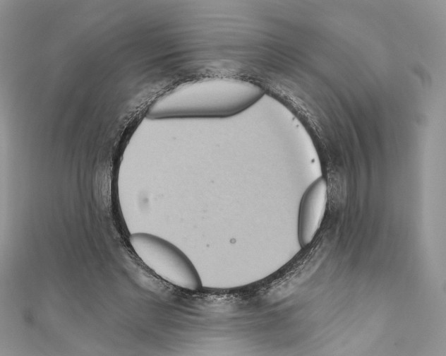 X0000110680493200907241046