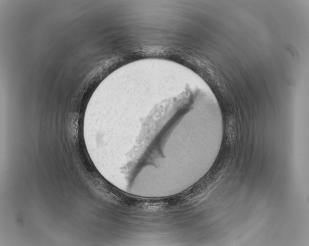 X0000110680495200907241046