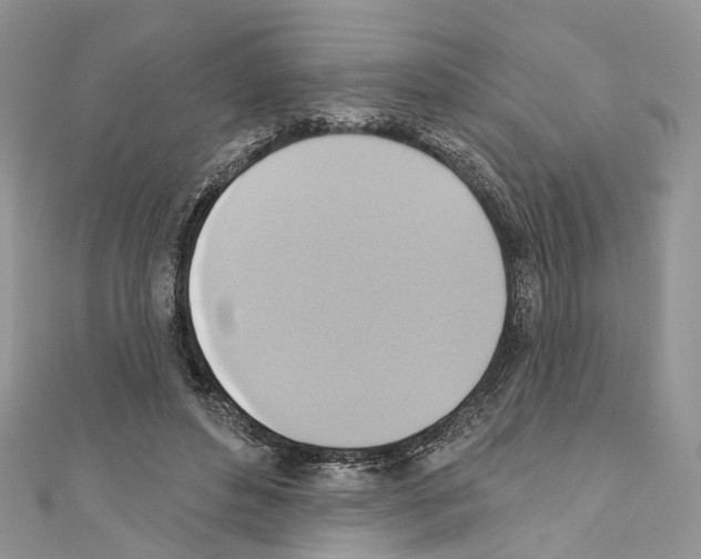 X0000110680496200907241046