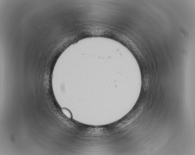 X0000110680497200907241046