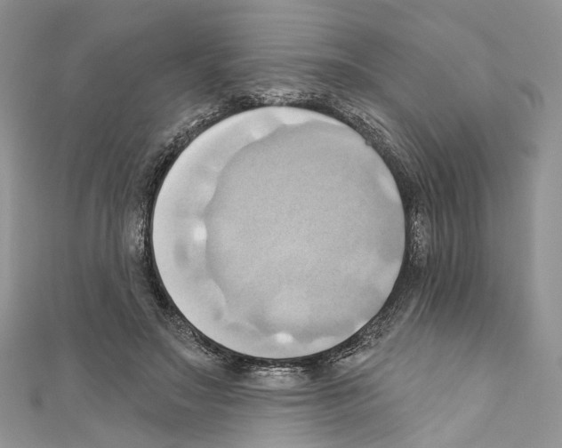 X0000110680499200907241046