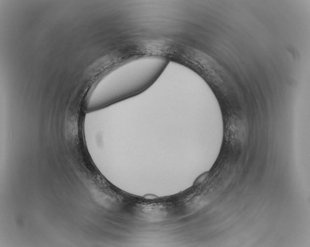 X0000110680500200907241046