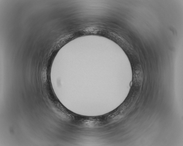 X0000110680504200907241046