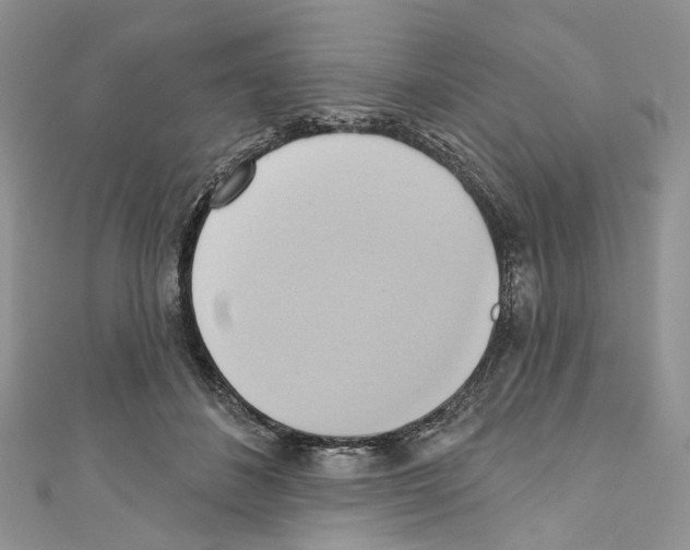 X0000110680508200907241046