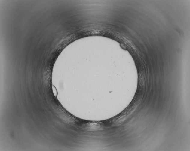 X0000110680509200907241046