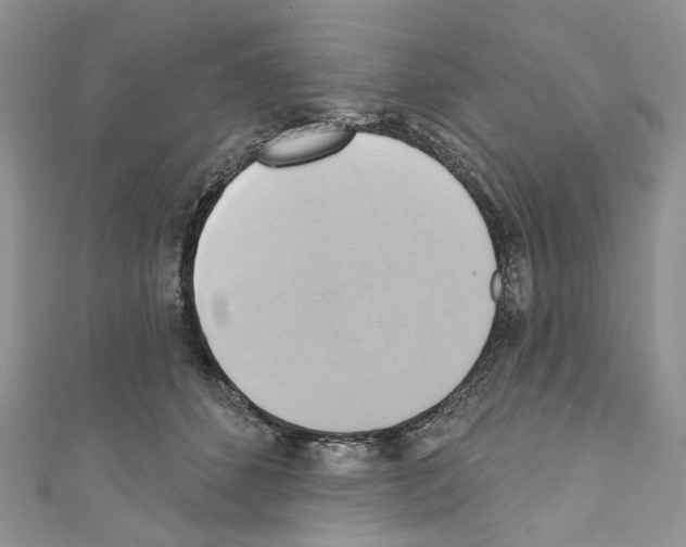 X0000110680512200907241046