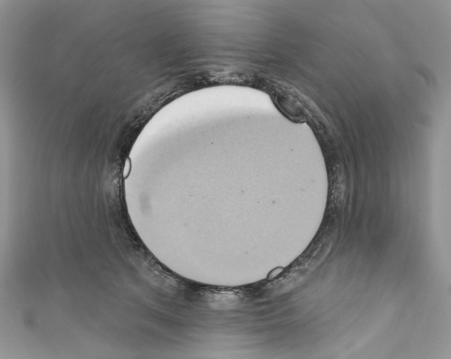 X0000110680513200907241046