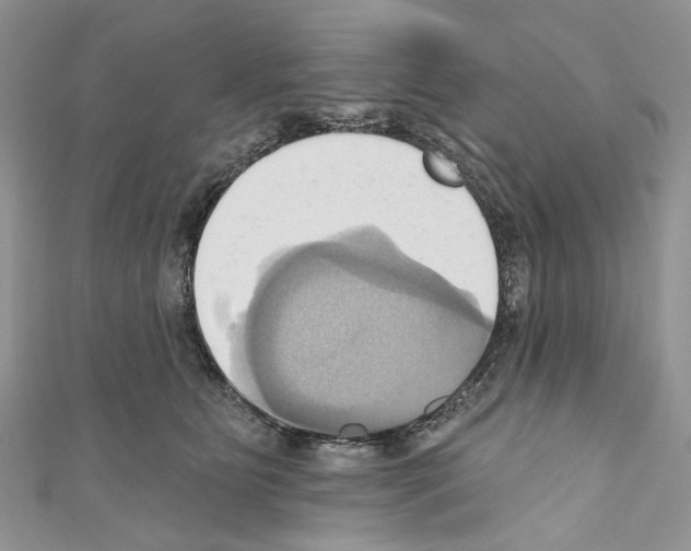 X0000110680515200907241046