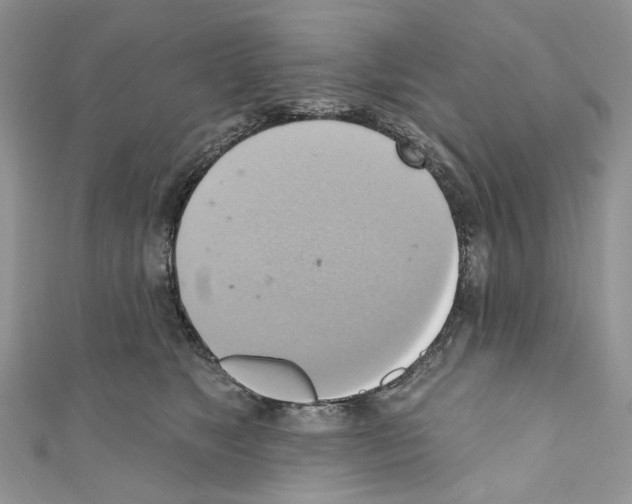 X0000110680517200907241046