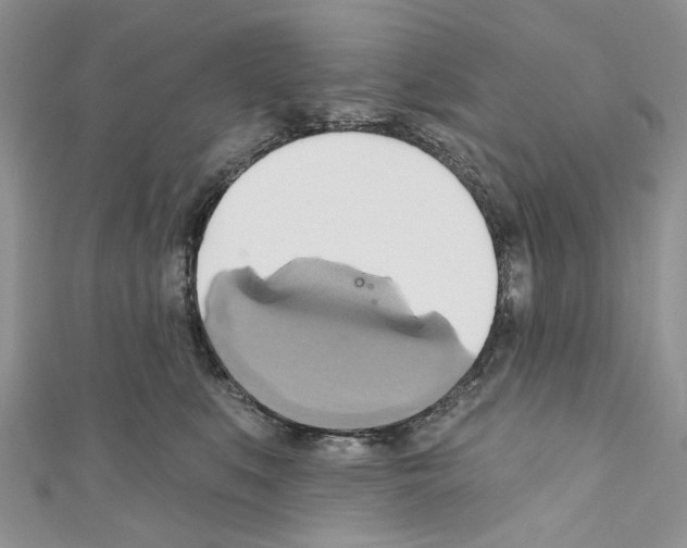 X0000110680519200907241046