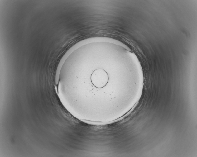 X0000110680521200907241046