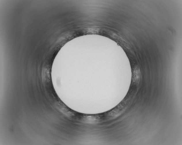 X0000110680522200907241046