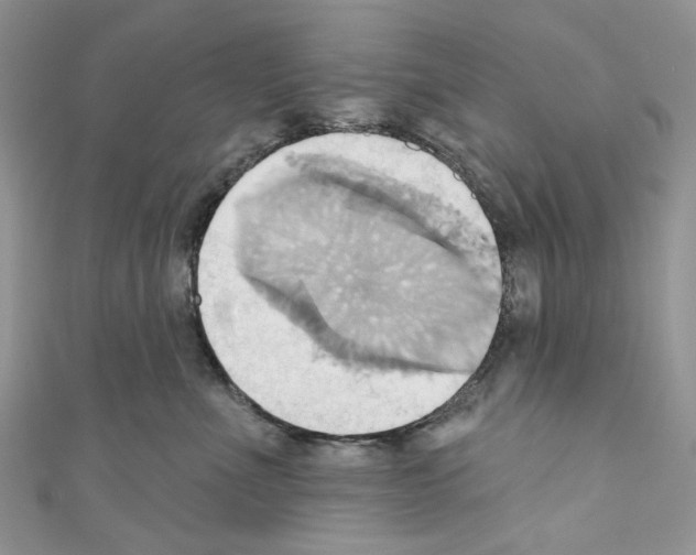 X0000110680523200907241046