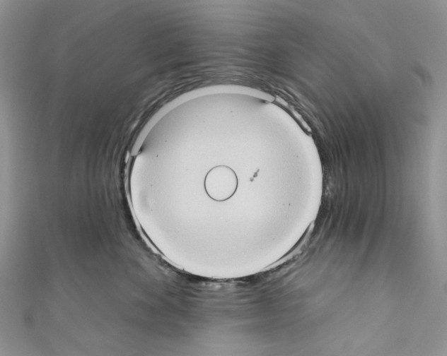 X0000110680524200907241046