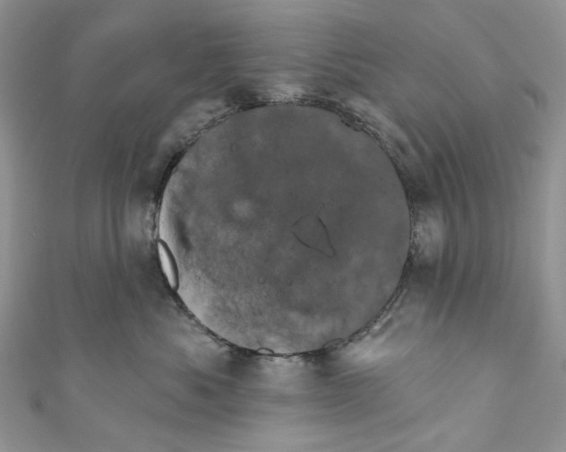 X0000110680525200907241046