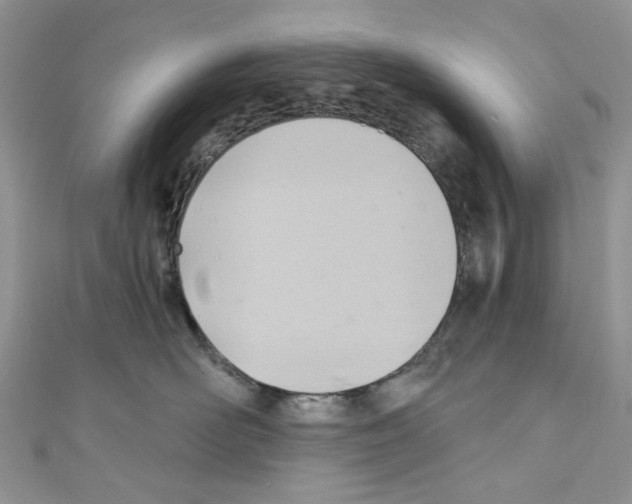 X0000110680526200907241046