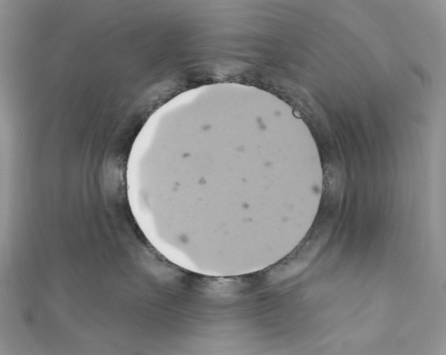 X0000110680527200907241046
