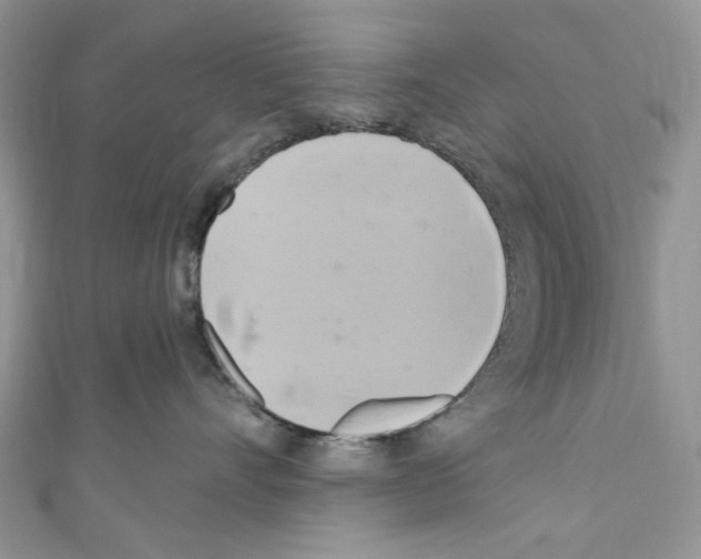 X0000110680528200907241046