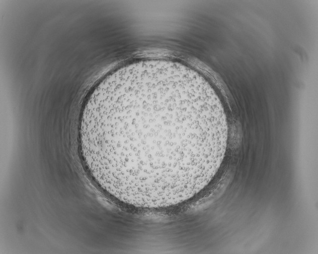 X0000110680529200907241045