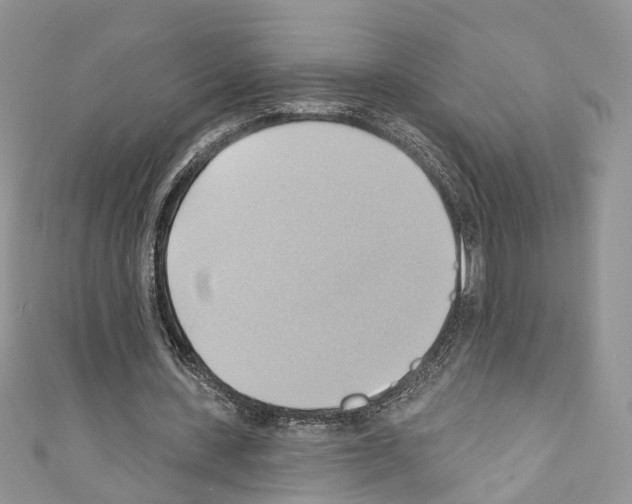 X0000110680531200907241045