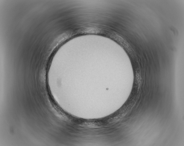 X0000110680534200907241045