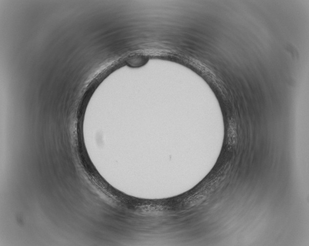 X0000110680535200907241045