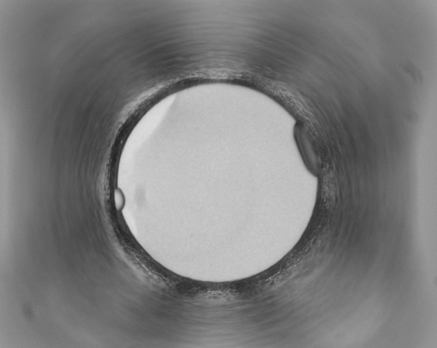 X0000110680536200907241045
