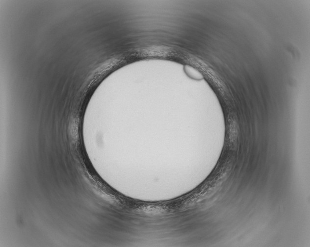 X0000110680537200907241045