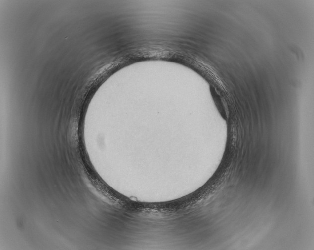 X0000110680538200907241045