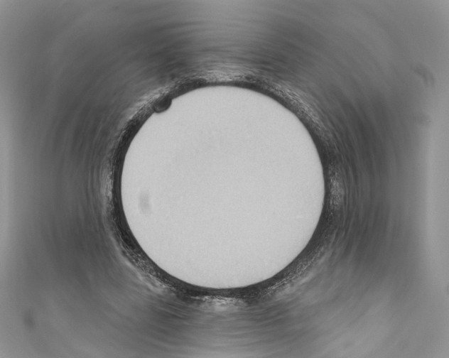 X0000110680539200907241045