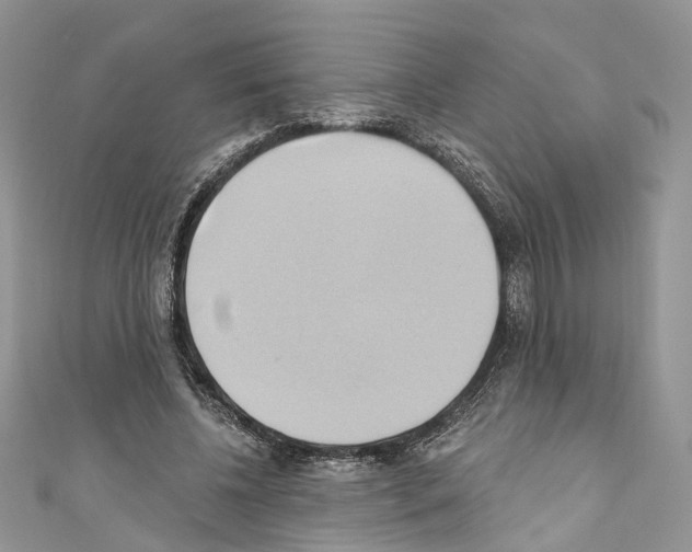 X0000110680540200907241045