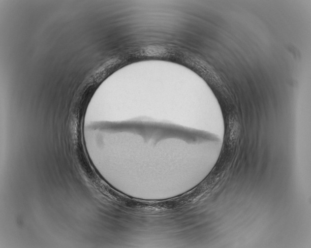 X0000110680542200907241045
