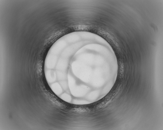 X0000110680545200907241045