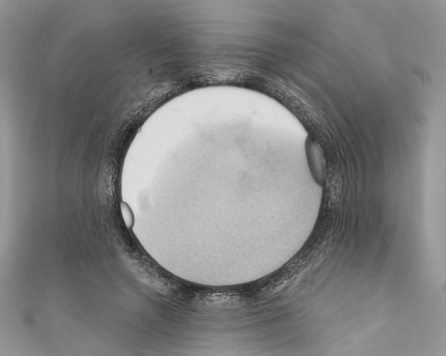 X0000110680546200907241045