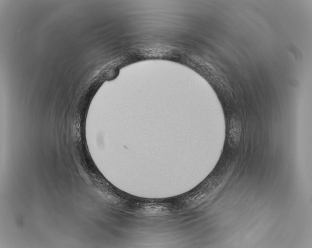 X0000110680547200907241045