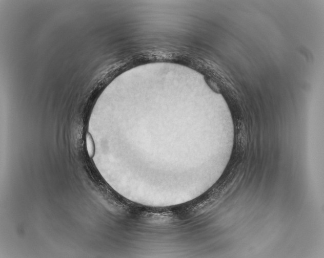 X0000110680548200907241045