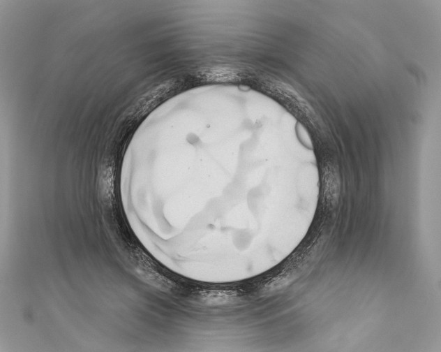 X0000110680549200907241045
