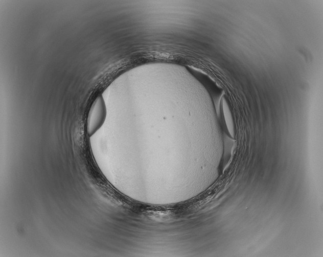 X0000110680552200907241045