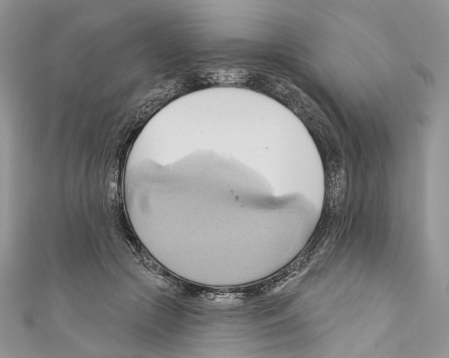X0000110680553200907241046
