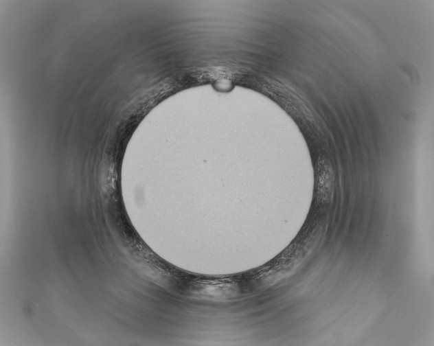 X0000110680555200907241046